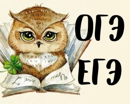 Подготовка к ЕГЭ, ОГЭ