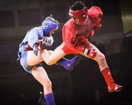 Боевое самбо