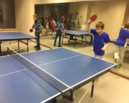 Настольный теннис