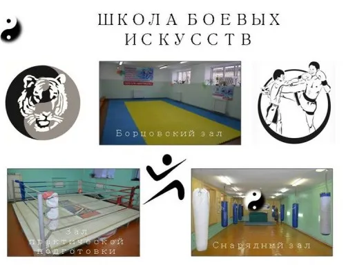 Школа боевых искусств «Файтайгер»