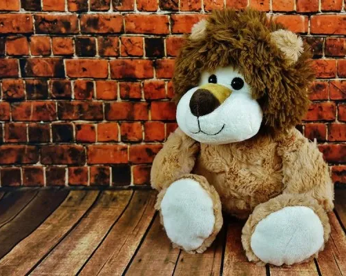 Полезная игрушка (ДПИ)