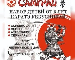 Каратэ Кекусинкай «Самурай»