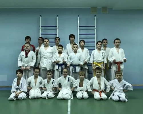 Карате кекушинкай
