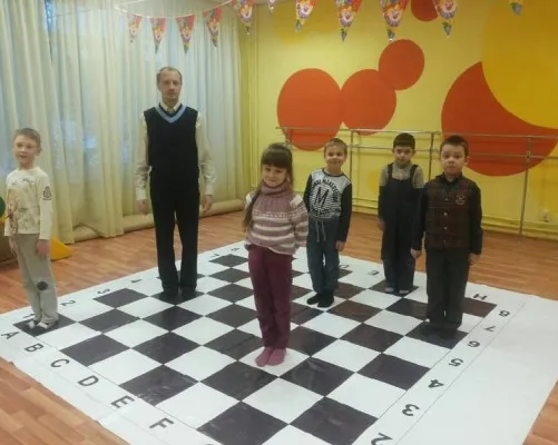 Шахматы