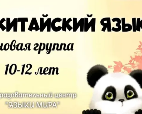 Китайский язык