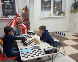 Шахматы