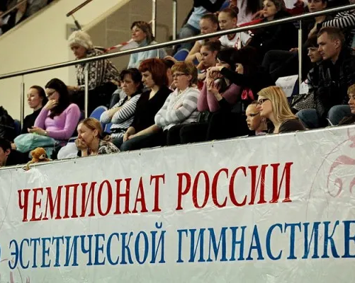 Спортивная эстетическая гимнастика