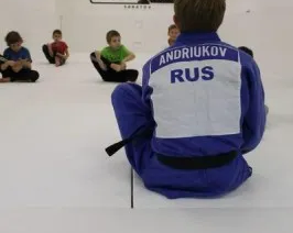 Дзюдо