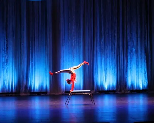 ЦИРКОВАЯ СТУДИЯ «АРЕНА»