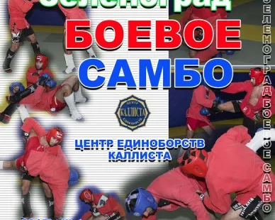 Боевое самбо