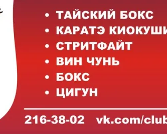 Карате-киокушинкай, тайский бокс, вин чунь