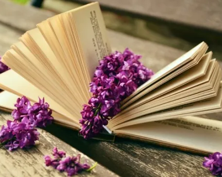 Знакомьтесь — музей!