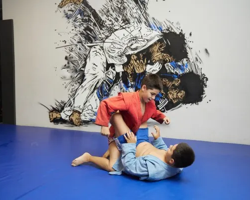 Занятия по спортивному и боевому самбо