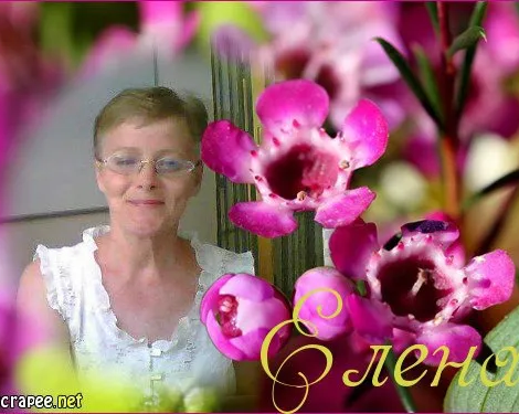Подготовка к ОГЭ