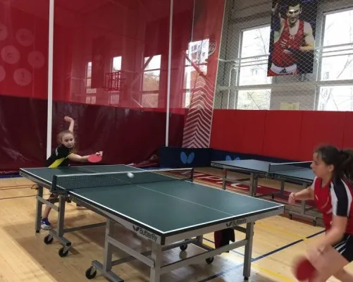 Настольный теннис