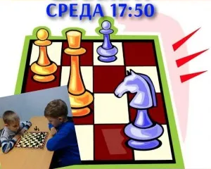 Шахматы