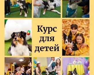 Курс "Юный дрессировщик собак"
