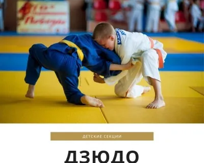 Дзюдо