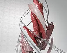 AutoCAD с самого начала