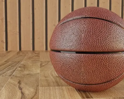 Баскетбол (на ул. Дуки)