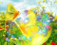 Изостудия «Радость»