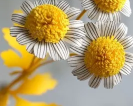 Флористика