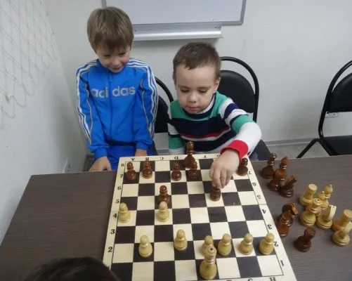 Шахматы