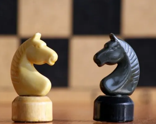 ШАХМАТНЫЙ КЛУБ «ЛАДЬЯ»