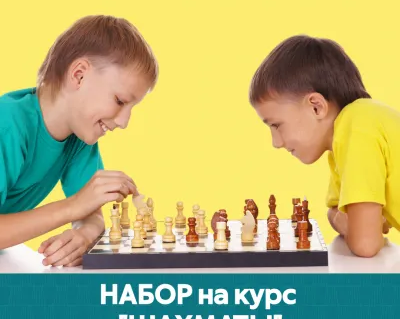 Шахматы