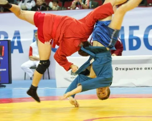 Спортивный клуб дзюдо и самбо Masters (в мкр. Крутые Ключи)