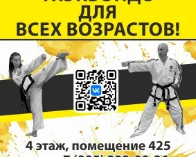 Тхэквондо МФТ