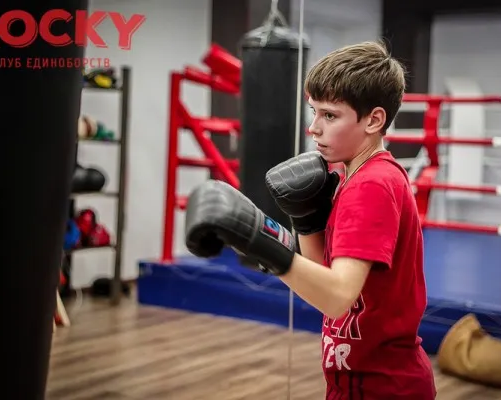 Бокс, панкратион, смешанные единоборства, тайский бокс