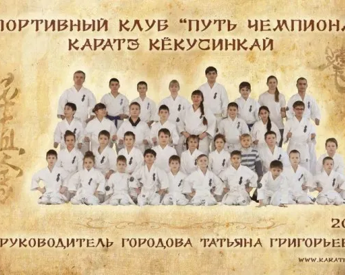 Спортивный клуб карате «Путь чемпиона» (на пр. Ленина)
