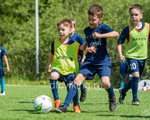 ДФК "Викинг" (Солнцево, Говорово)