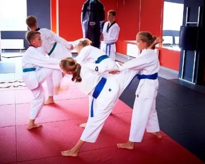 Тхэквондо для детей