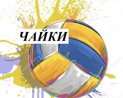 Детская волейбольная секция