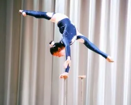 Эстрадно-цирковой коллектив «Гримихс»