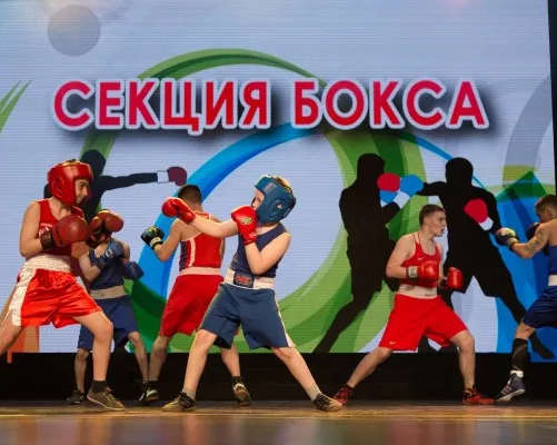 секция БОКСА
