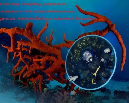 Детский дайвинг