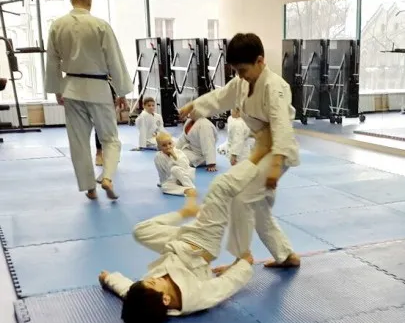 Джиу-джитсу