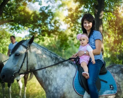 Обучение верховой езде