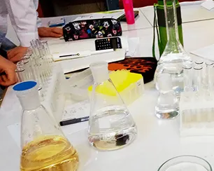 Летняя профориентационная школа