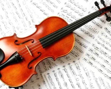 Программа «Скрипка»