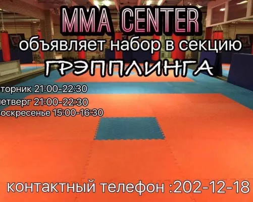 Грепплинг