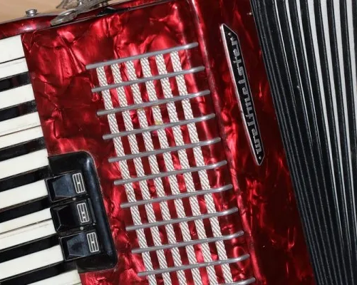 Баян (аккордеон) (на ул. Академика Лебедева)