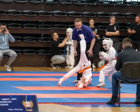 Каратэ Киокушинкай