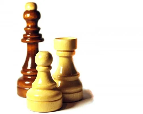 Шахматная школа «Гранд»