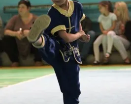 Ушу