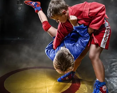 Спортивное самбо