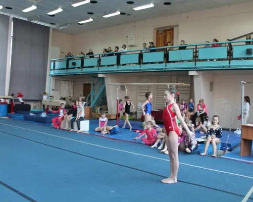 Спортивная гимнастика